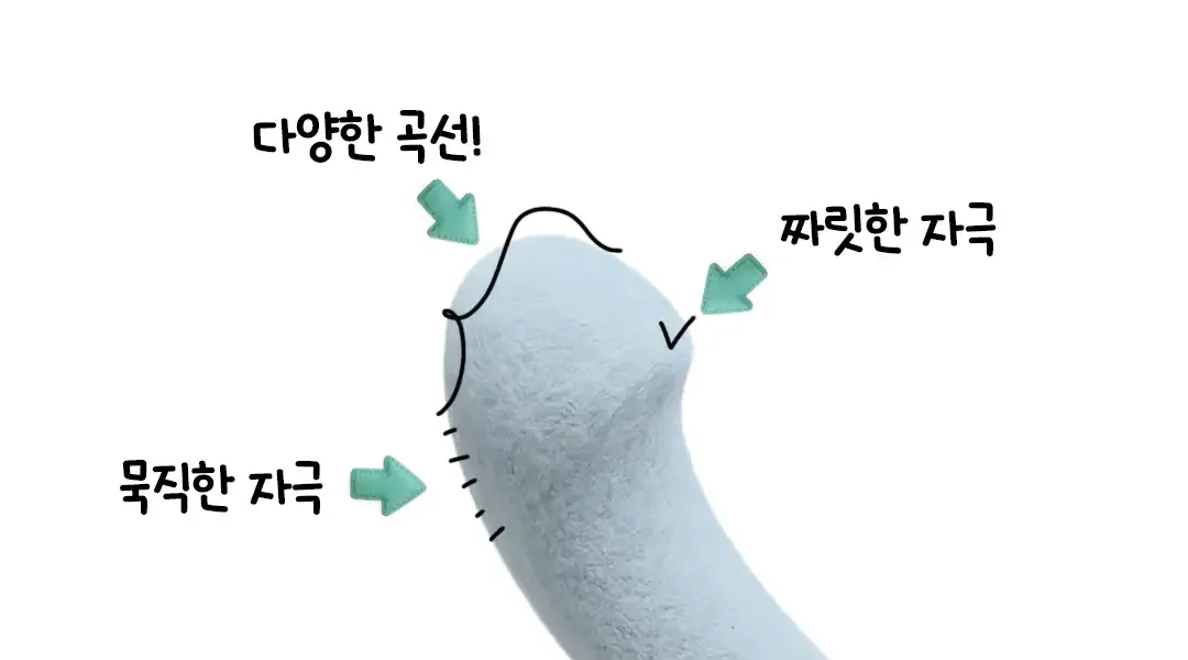데임 아크 곡선