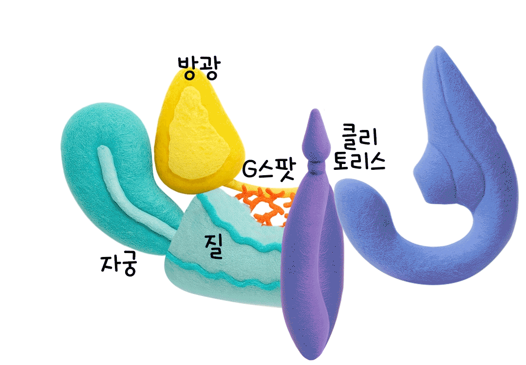 블렌드 삽입