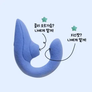 블렌드 커버