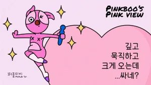 핑크뷰 롬프 플립