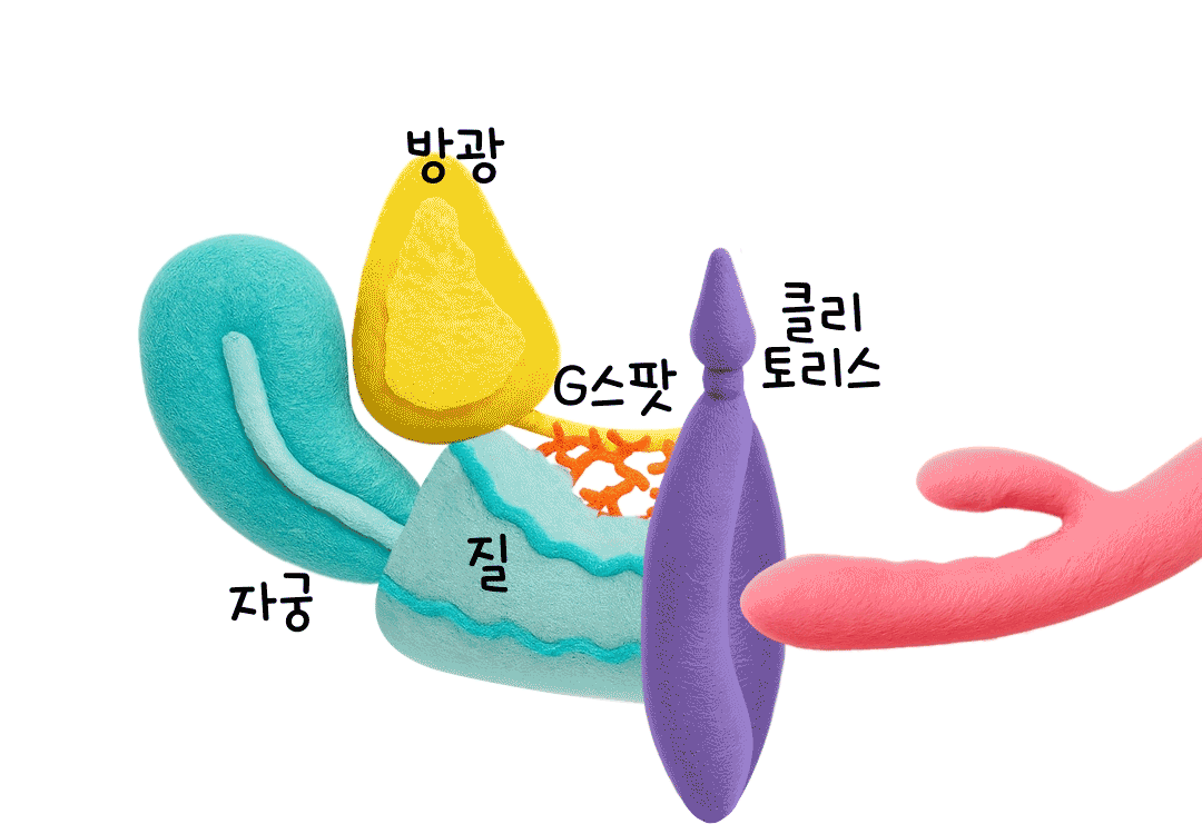 에이버리 삽입
