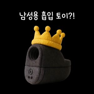 아크웨이브 이온